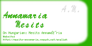 annamaria mesits business card